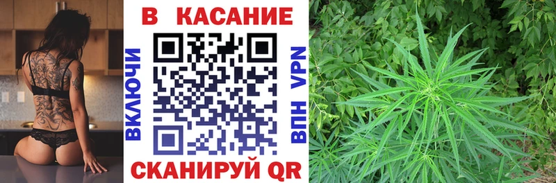 Где найти наркотики Белогорск Галлюциногенные грибы  Меф  Кокаин  A-PVP 