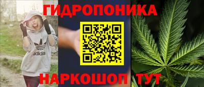 эйфоретик Можга