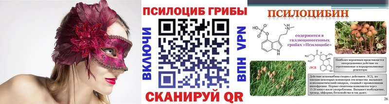 Галлюциногенные грибы Psilocybe  даркнет сайт  Белогорск 
