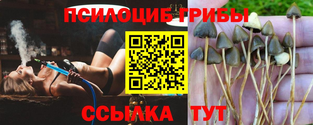 Белогорск  Псилоцибиновые грибы GOLDEN TEACHER  Вход с VPN 